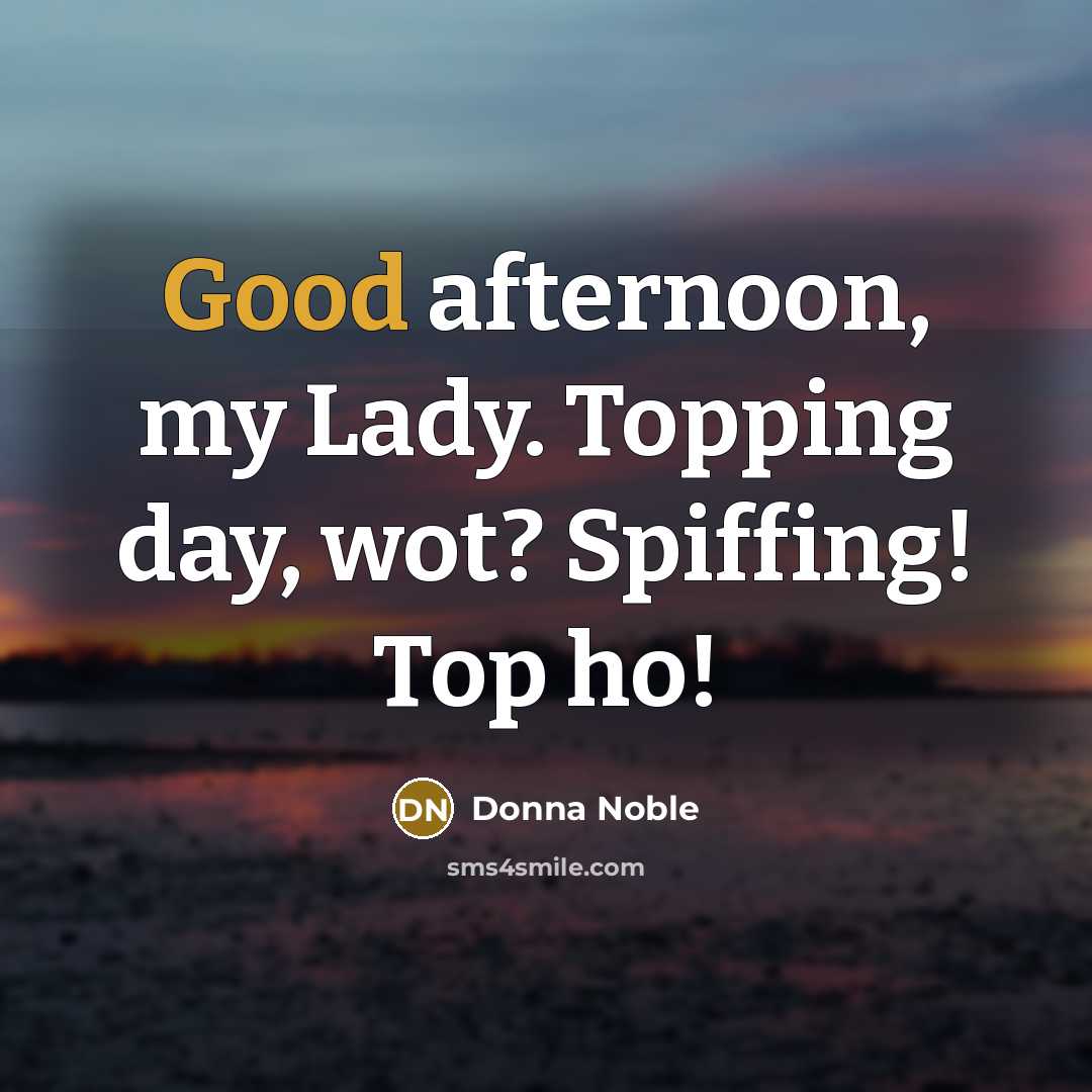 “Good afternoon, my Lady. Topping day, wot? Spiffing! Top ho!…” quote by Donna Noble