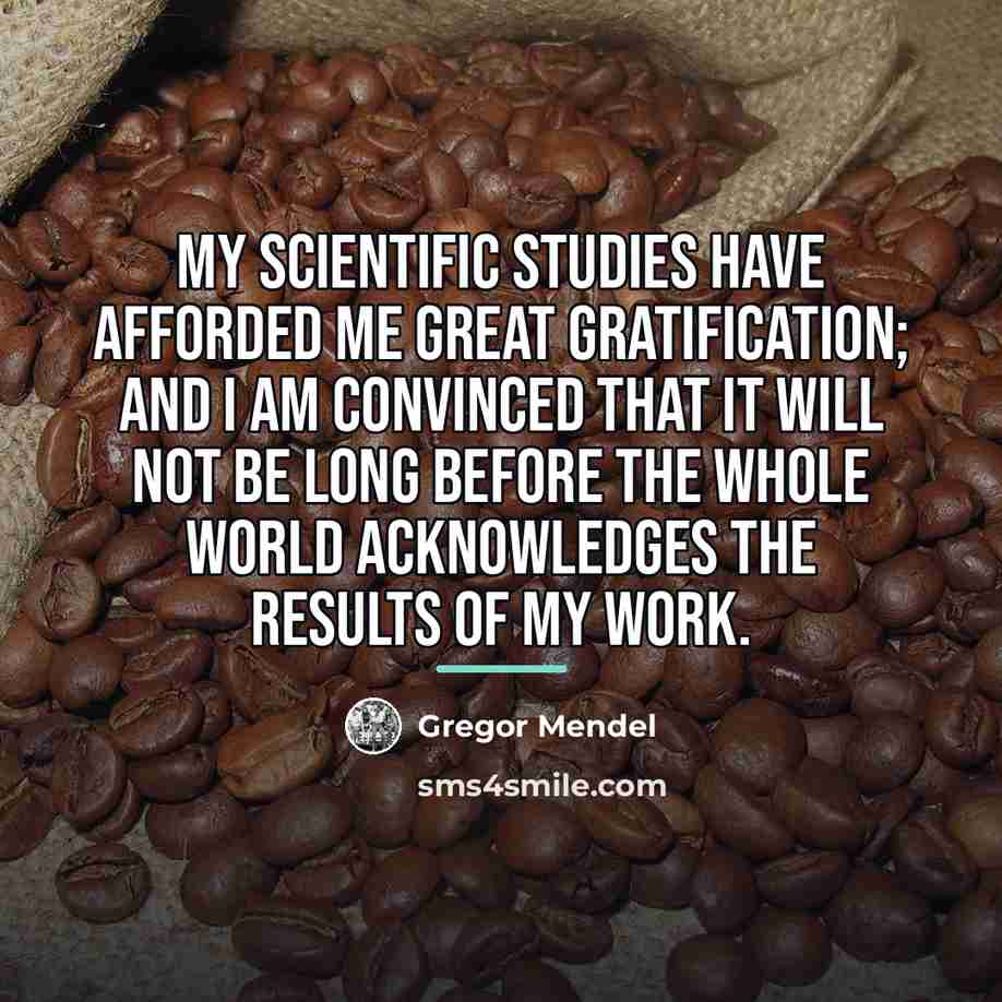 “My scientific studies have afforded me great gratification; and I…” quote by Gregor Mendel