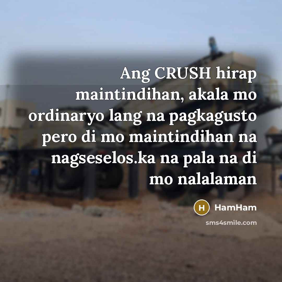 “Ang CRUSH hirap maintindihan, akala mo ordinaryo lang na pagkagusto…” quote by HamHam