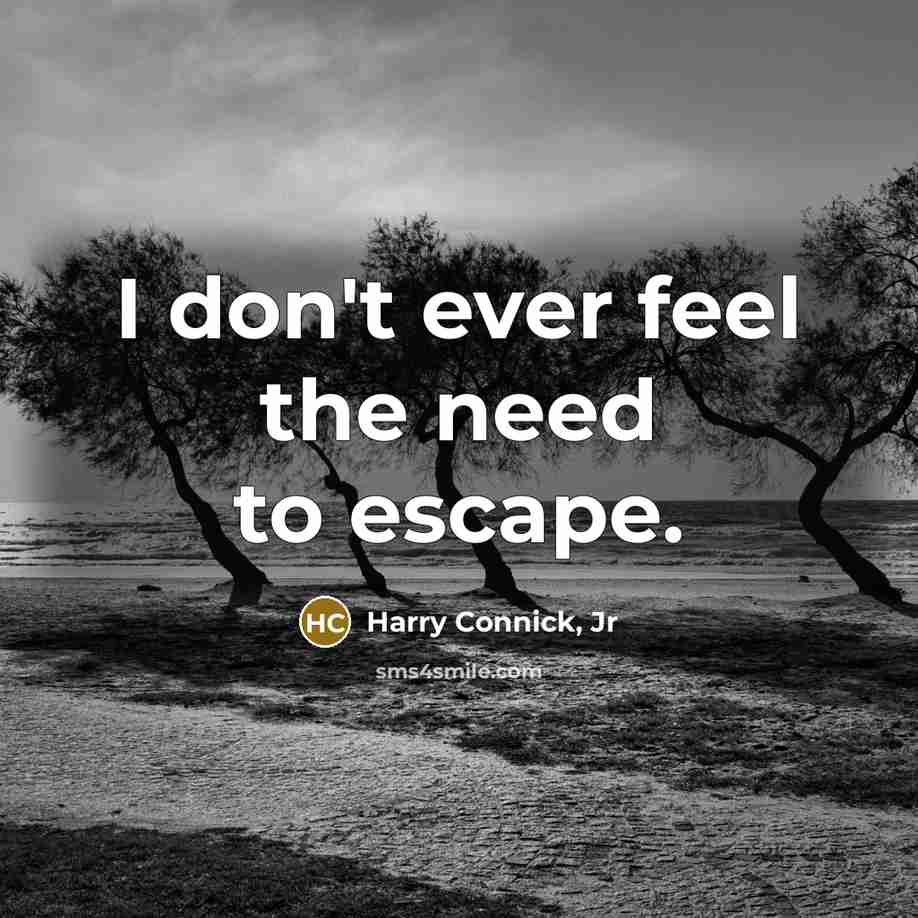 “I don't ever feel the need to escape.…” quote by Harry Connick, Jr