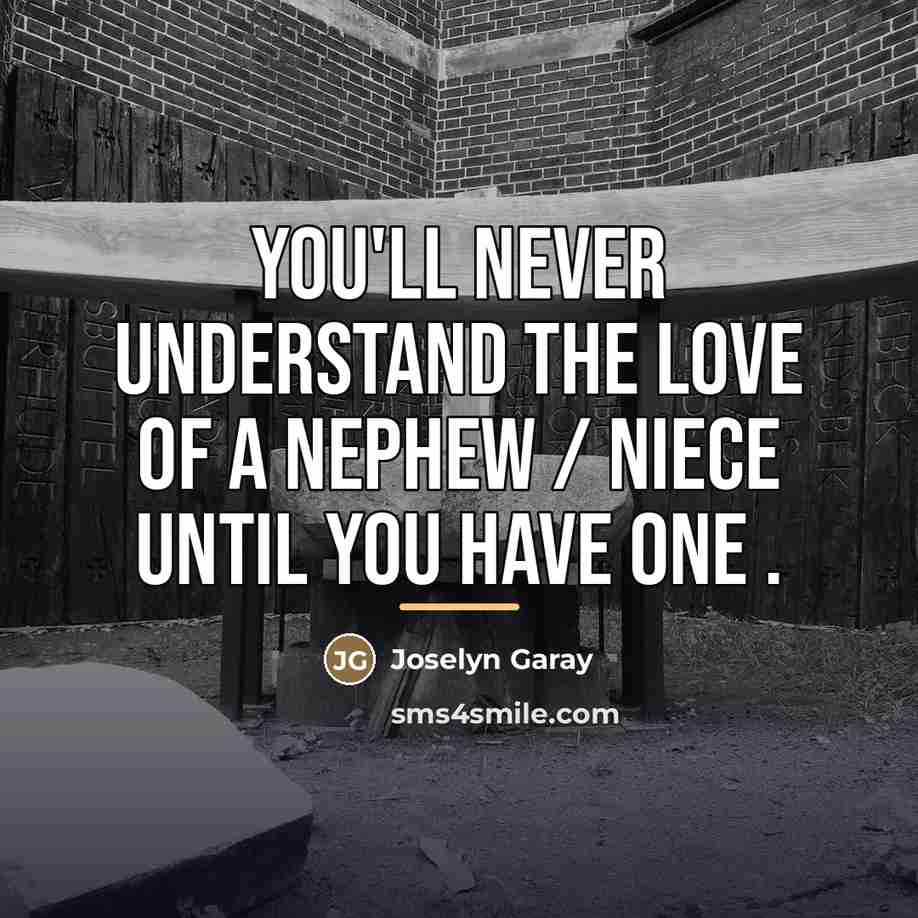 “You'll never understand the love of a nephew / niece…” quote by Joselyn Garay