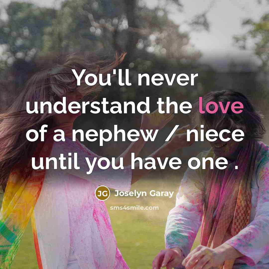 “You'll never understand the love of a nephew / niece until you have one .” quote by Joselyn Garay