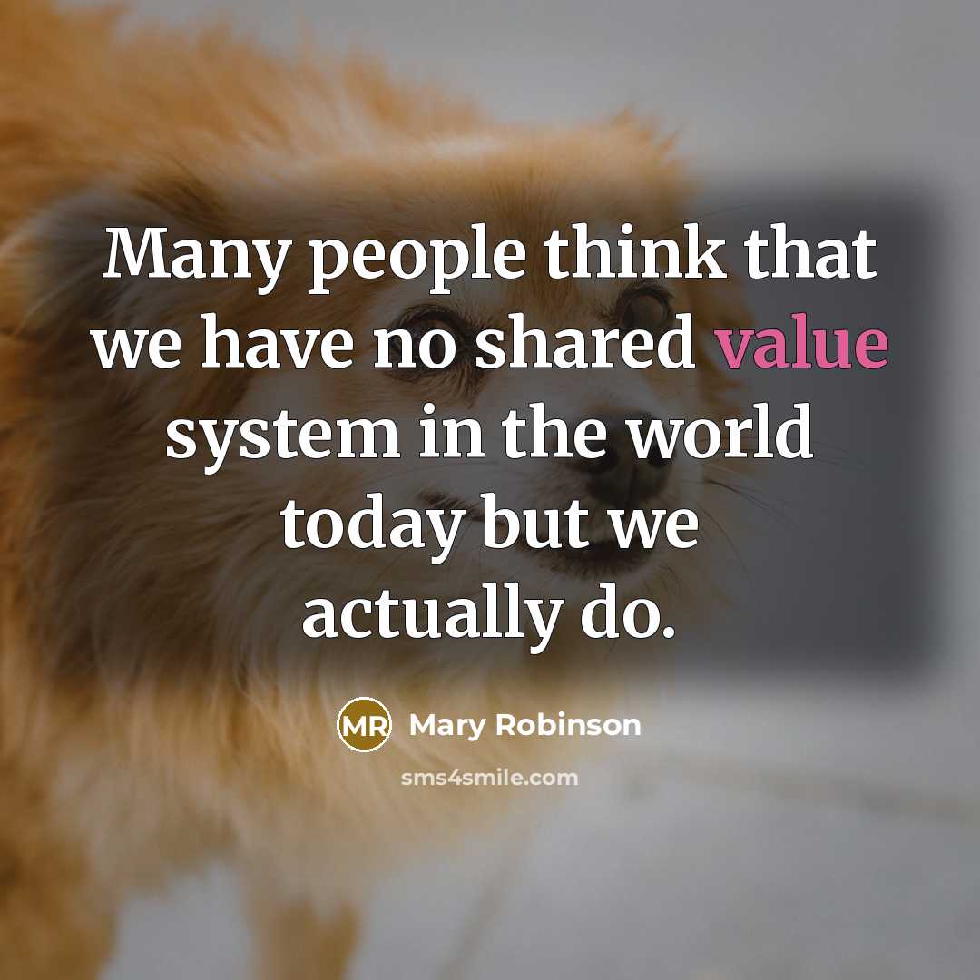 “Many people think that we have no shared value system…” quote by Mary Robinson