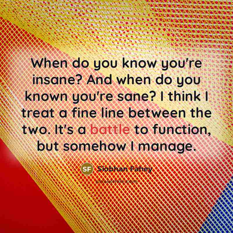 “When do you know you're insane? And when do you…” quote by Siobhan Fahey