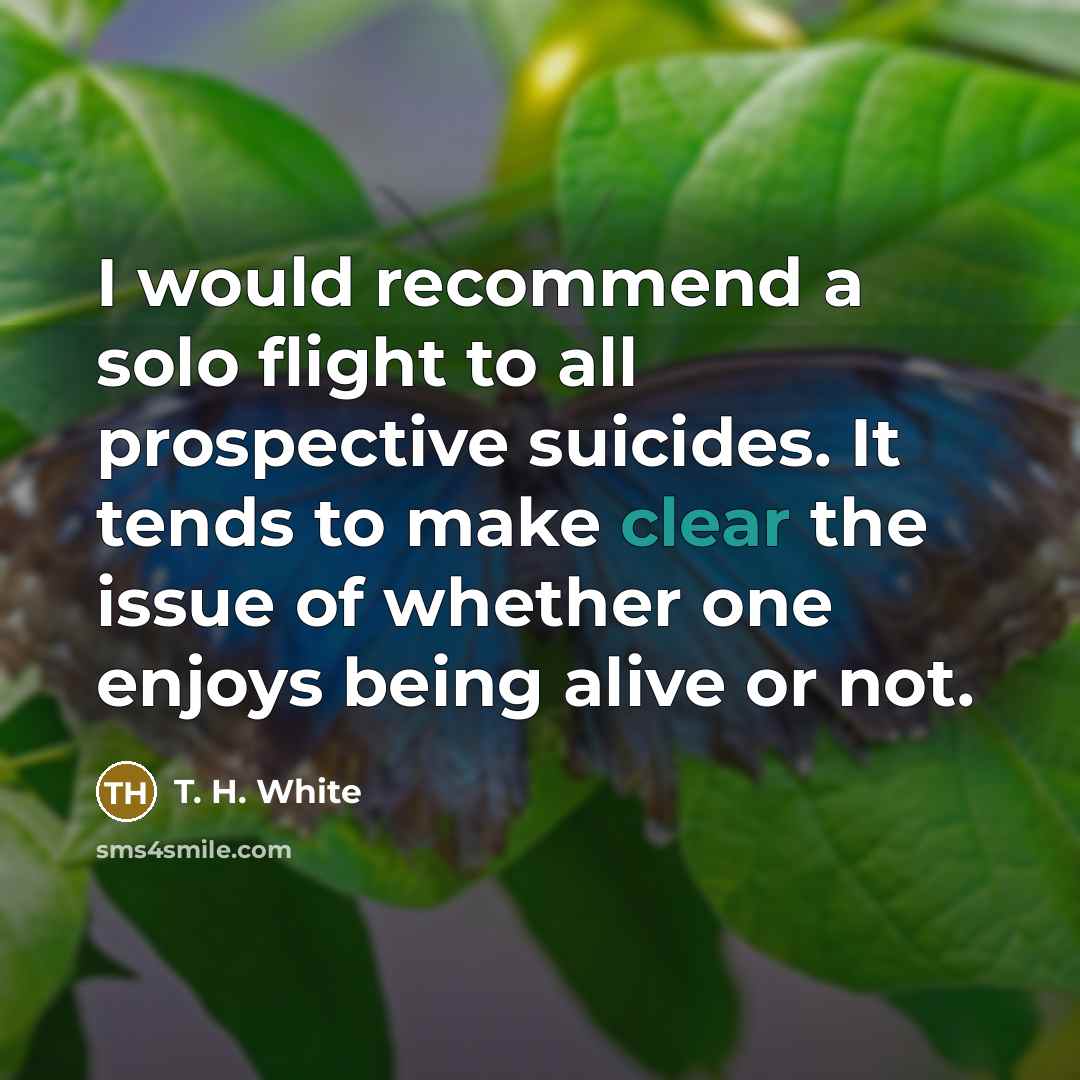 “I would recommend a solo flight to all prospective suicides.…” quote by T. H. White