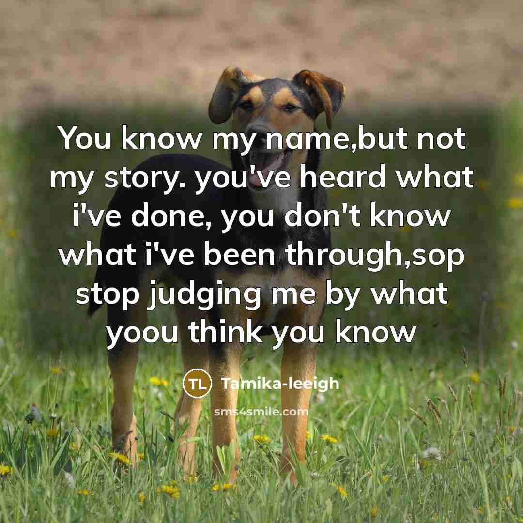 “You know my name,but not my story. you've heard what i've done, you don't know what i've been through,sop stop judging me by what yoou think you know” quote by Tamika-leeigh
