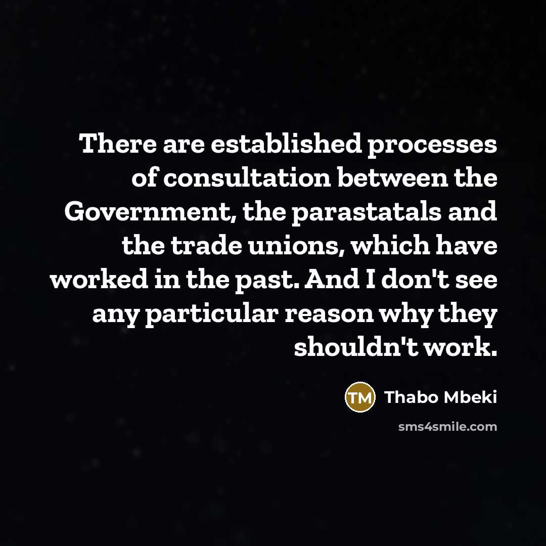 “There are established processes of consultation between the Government, the…” quote by Thabo Mbeki