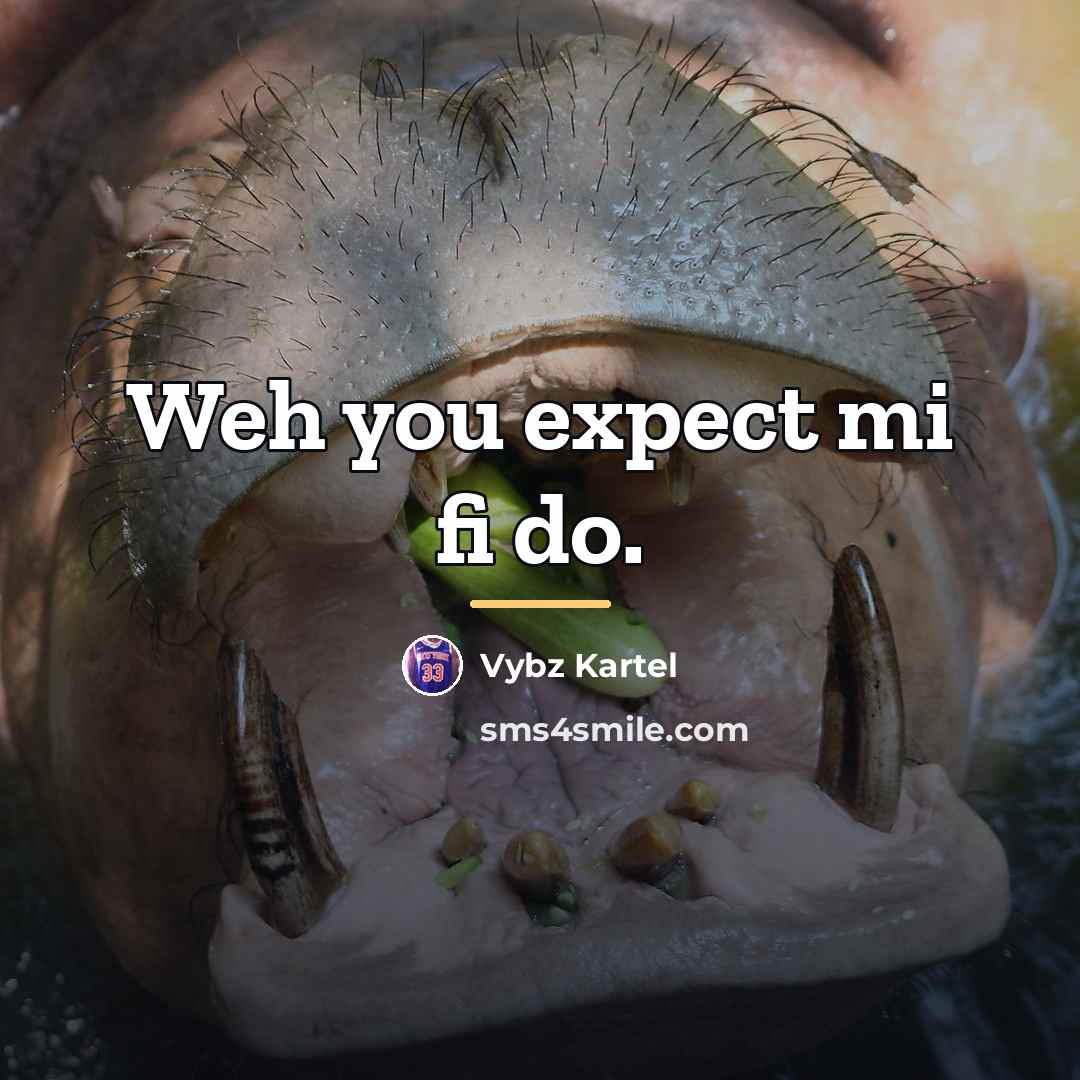 “Weh you expect mi fi do.…” quote by Vybz Kartel