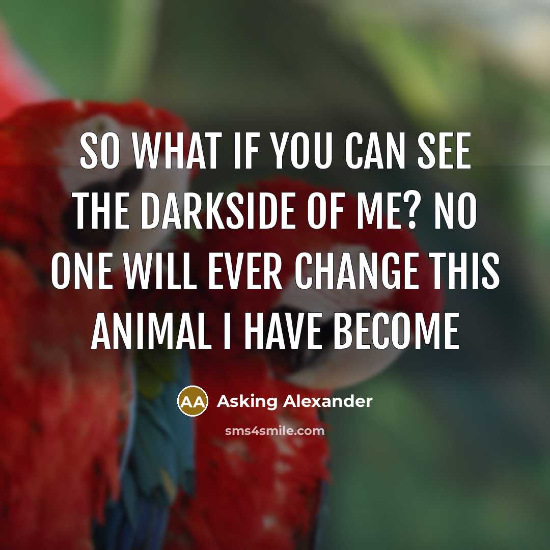 “So what if you can see the darkside of me?…” quote by Asking Alexander