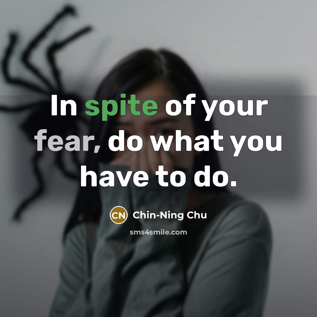 “In spite of your fear, do what you have to…” quote by Chin-Ning Chu