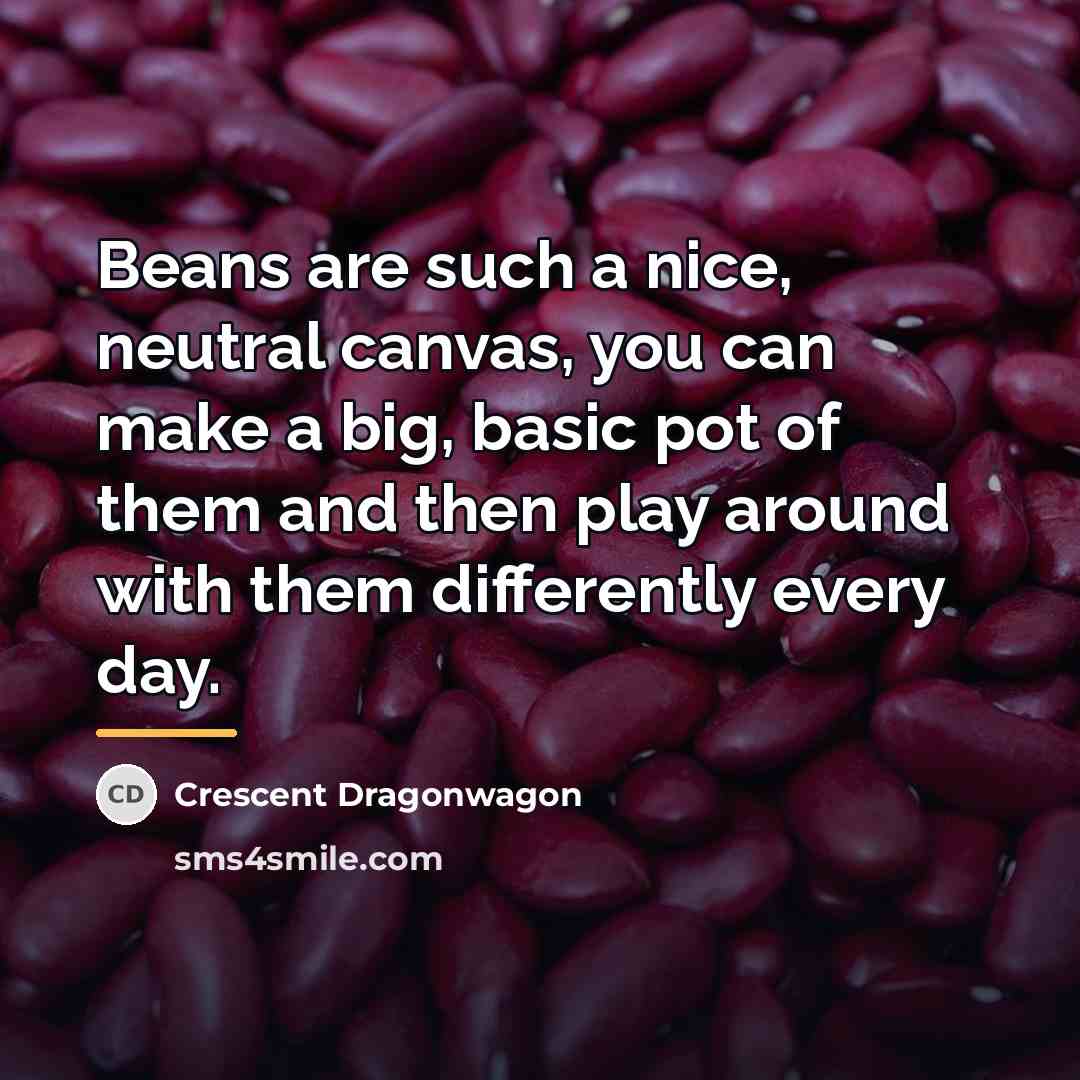 “Beans are such a nice, neutral canvas, you can make…” quote by Crescent Dragonwagon