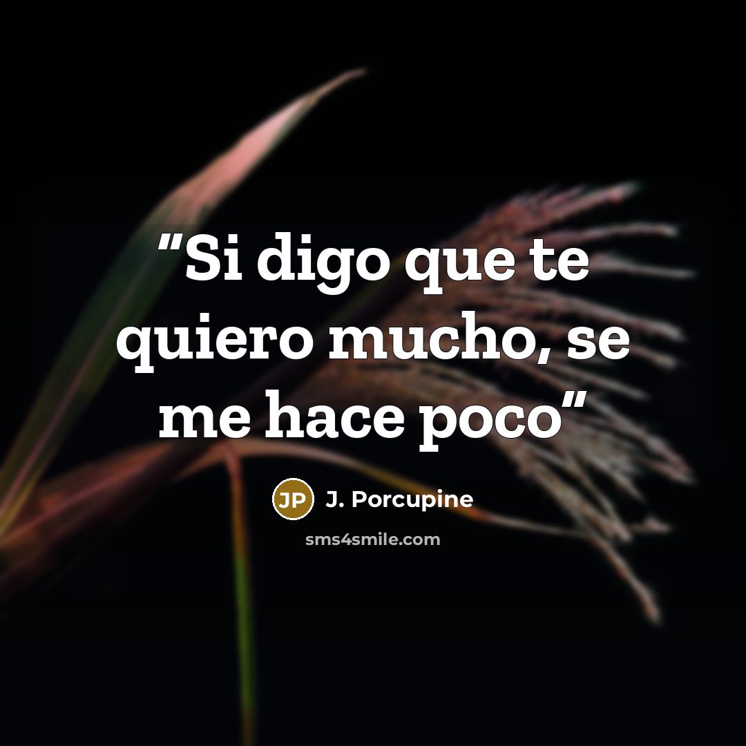 “Si digo que te quiero mucho, se me hace poco” quote by J. Porcupine