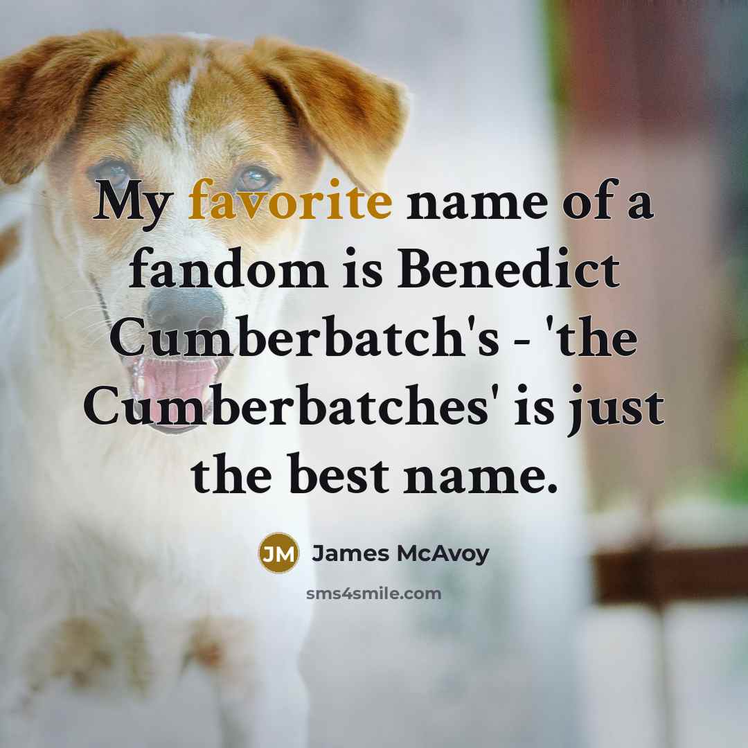 “My favorite name of a fandom is Benedict Cumberbatch's -…” quote by James McAvoy