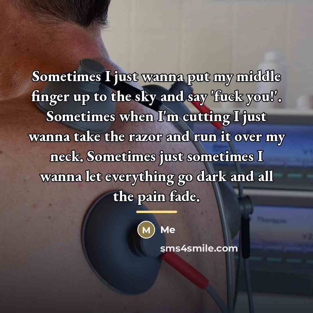 “Sometimes I just wanna put my middle finger up to…” quote by Me