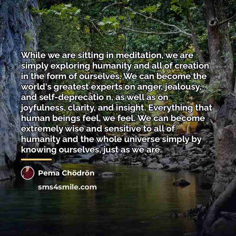 “While we are sitting in meditation, we are simply exploring…” quote by Pema Chodron