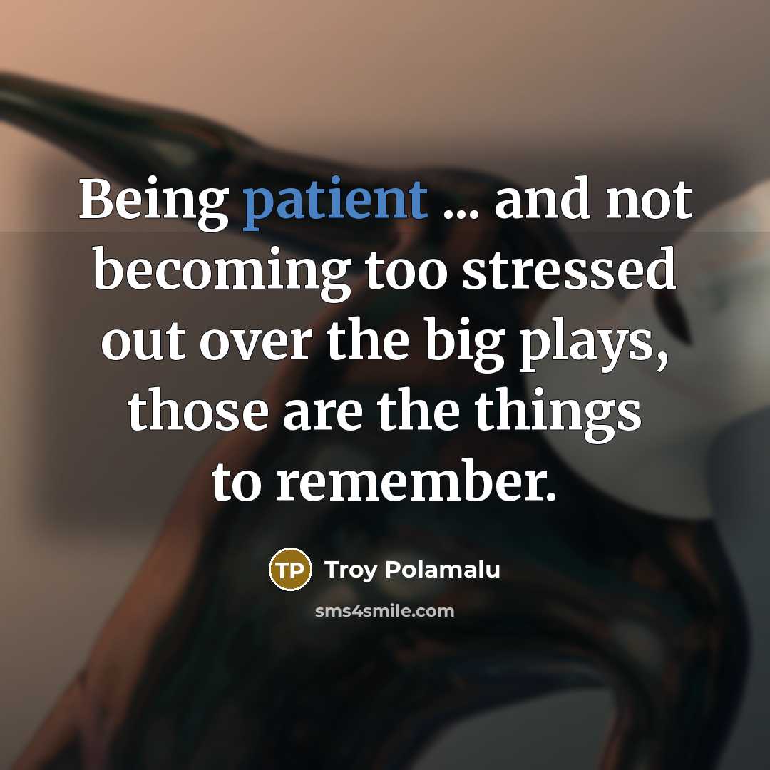 “Being patient ... and not becoming too stressed out over…” quote by Troy Polamalu
