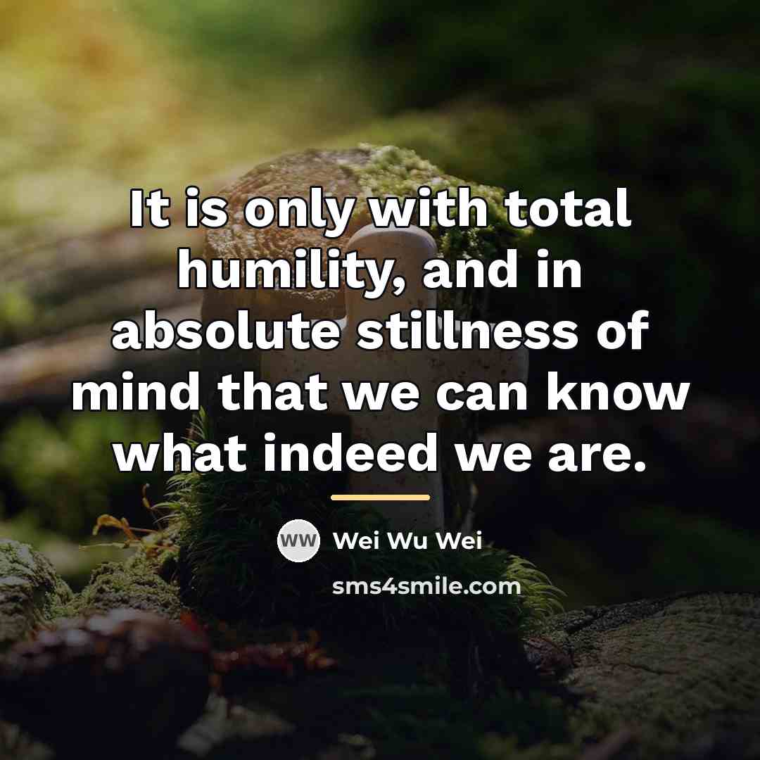 “It is only with total humility, and in absolute stillness…” quote by Wei Wu Wei
