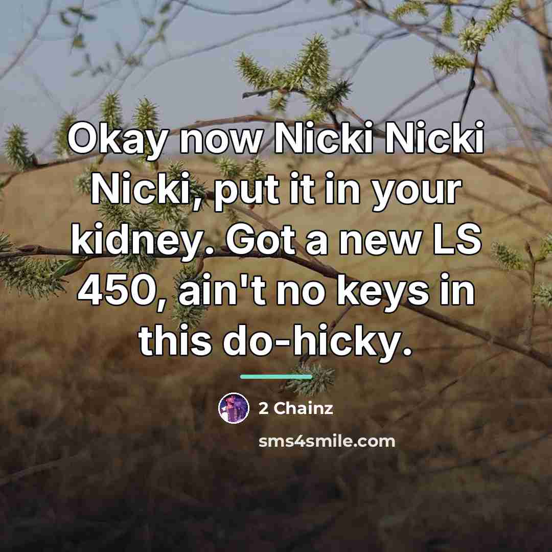 “Okay now Nicki Nicki Nicki, put it in your kidney.…” quote by 2 Chainz