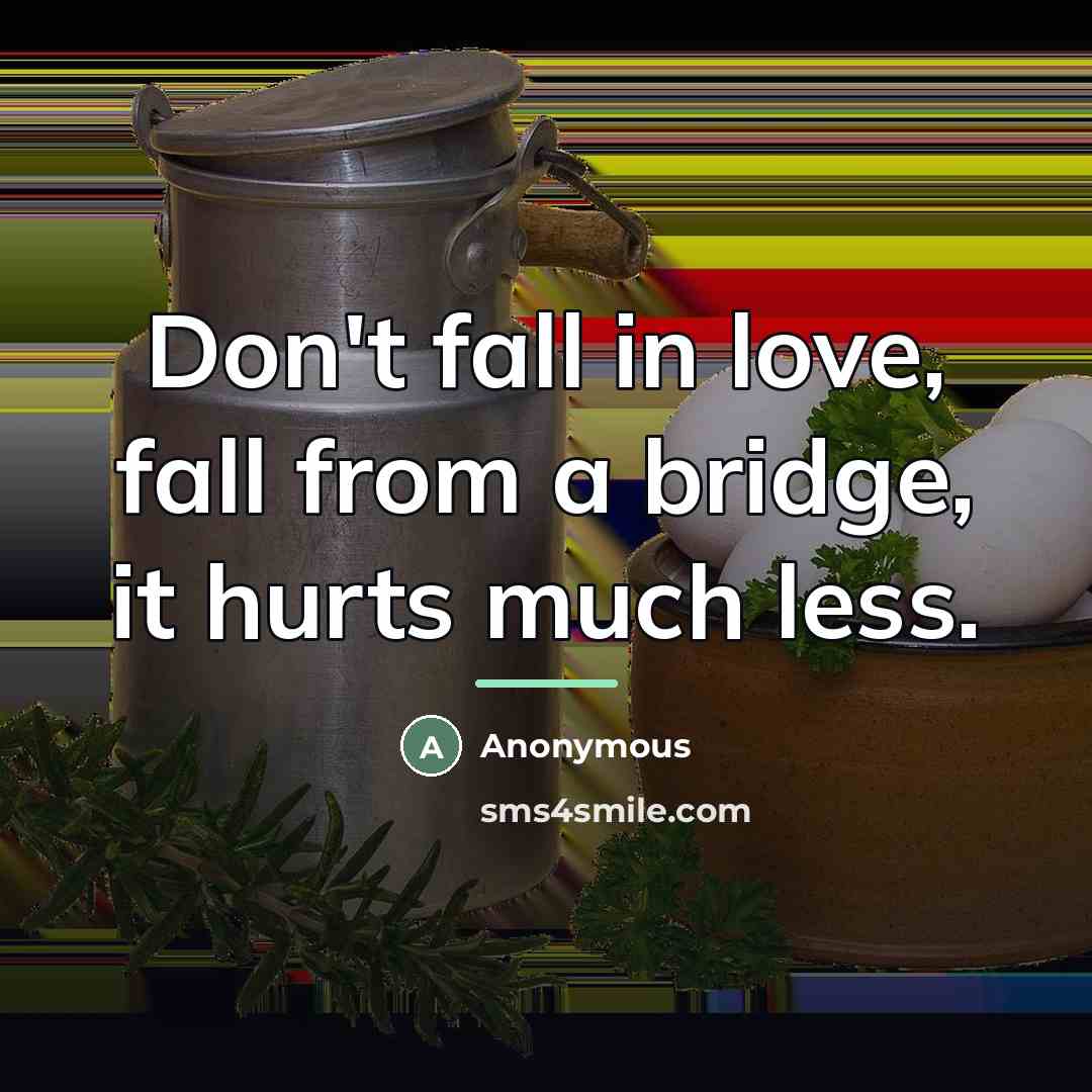 “Don't fall in love, fall from a bridge, it hurts…” quote by Anonymous