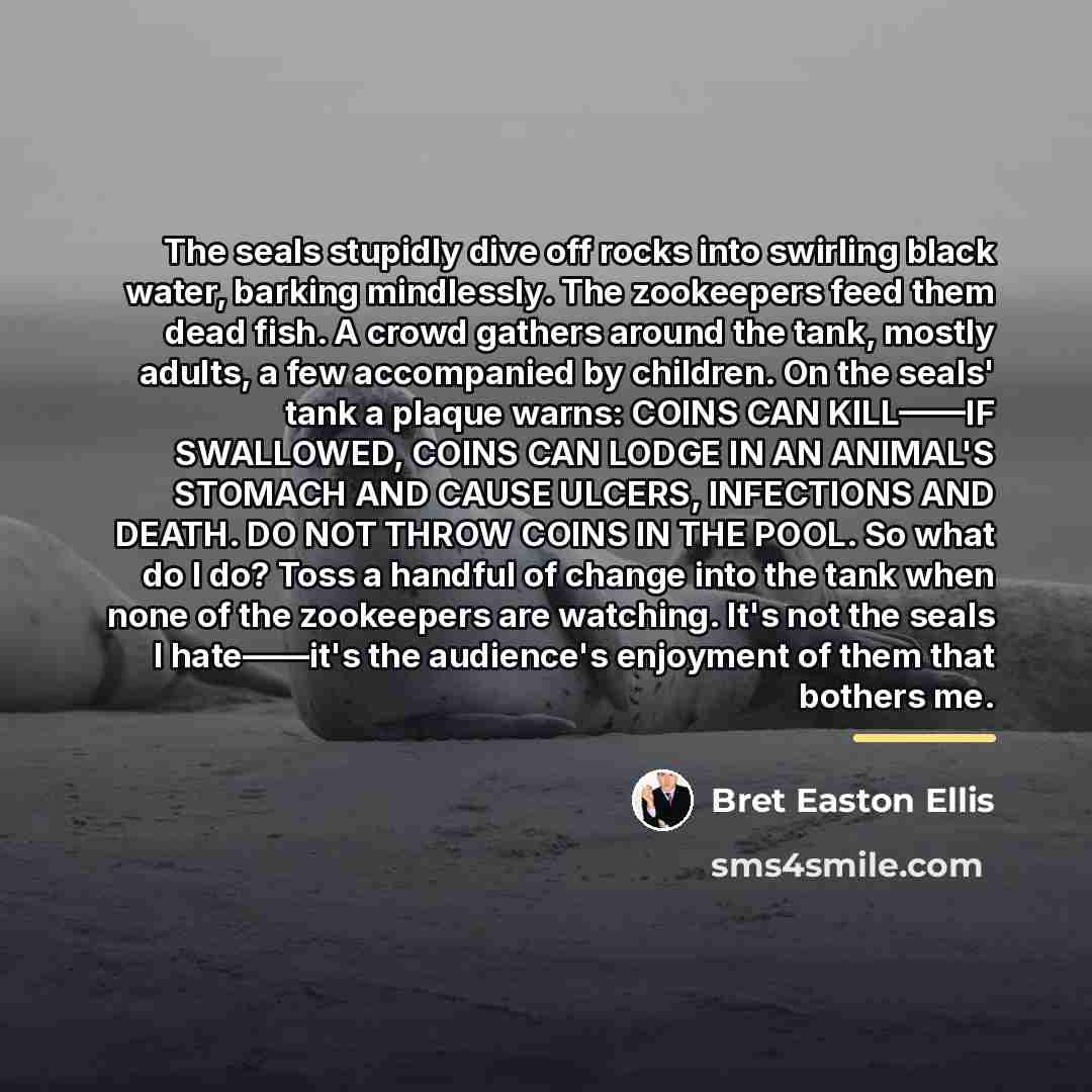 “The seals stupidly dive off rocks into swirling black water,…” quote by Bret Easton Ellis