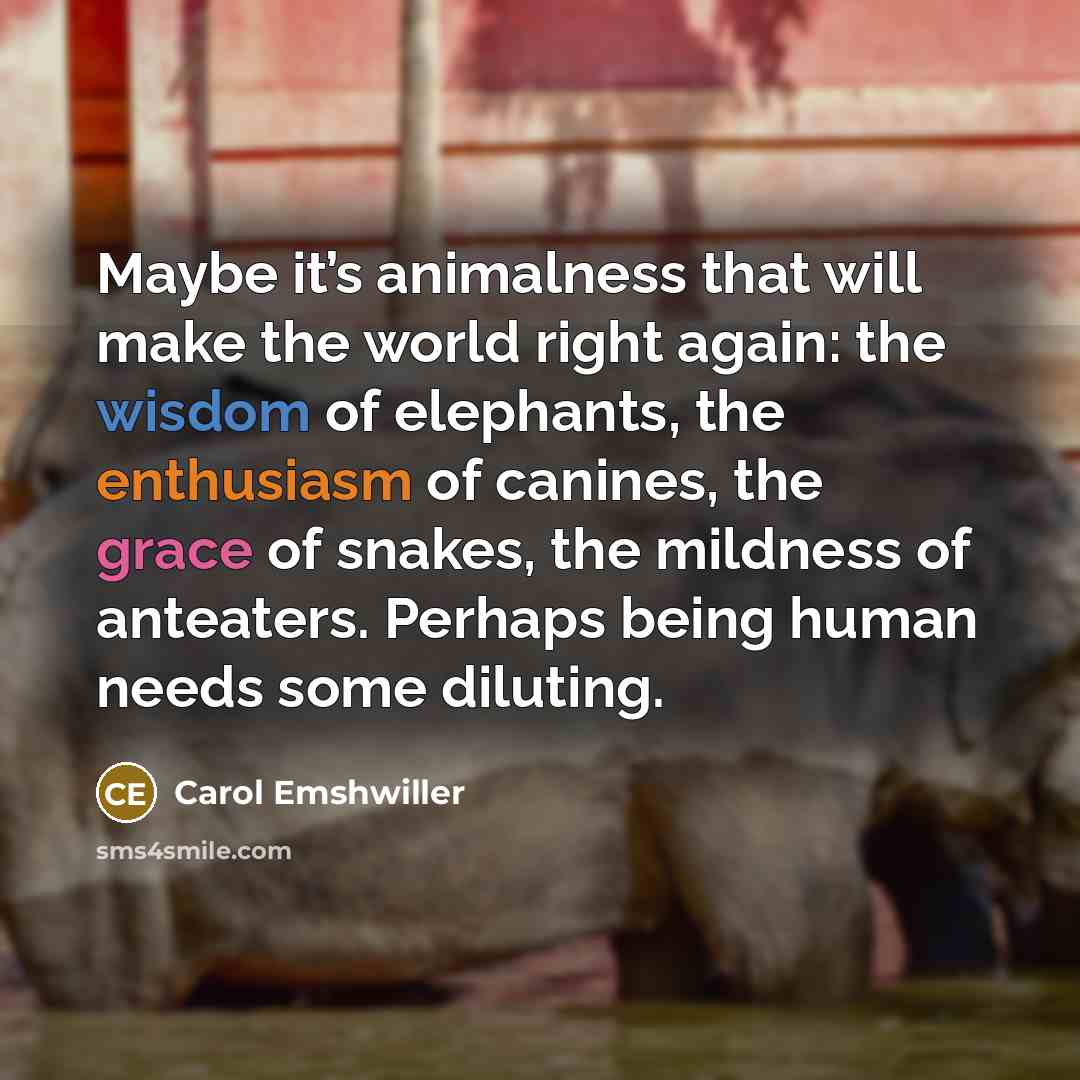“Maybe it’s animalness that will make the world right again:…” quote by Carol Emshwiller