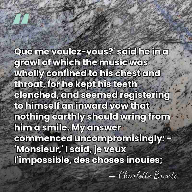 Que me voulez-vous?' said he in a growl of which the music&hellip; - Charlotte Bronte