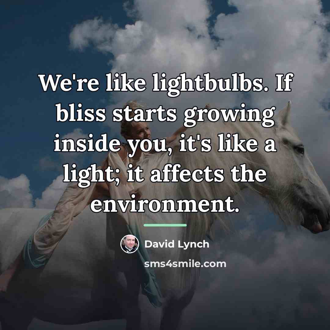 “We're like lightbulbs. If bliss starts growing inside you, it's…” quote by David Lynch