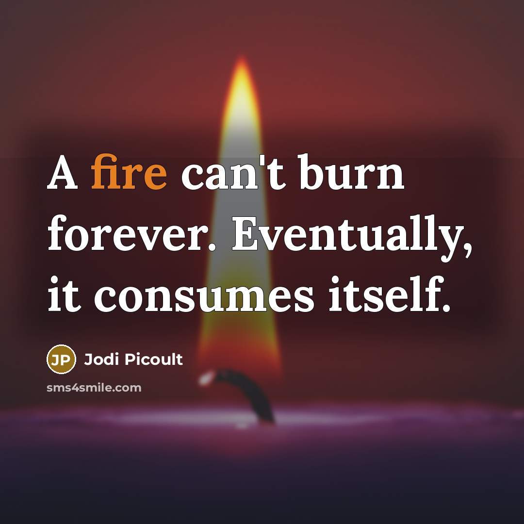 “A fire can't burn forever. Eventually, it consumes itself.” quote by Jodi Picoult