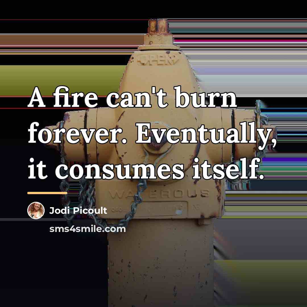 “A fire can't burn forever. Eventually, it consumes itself.…” quote by Jodi Picoult