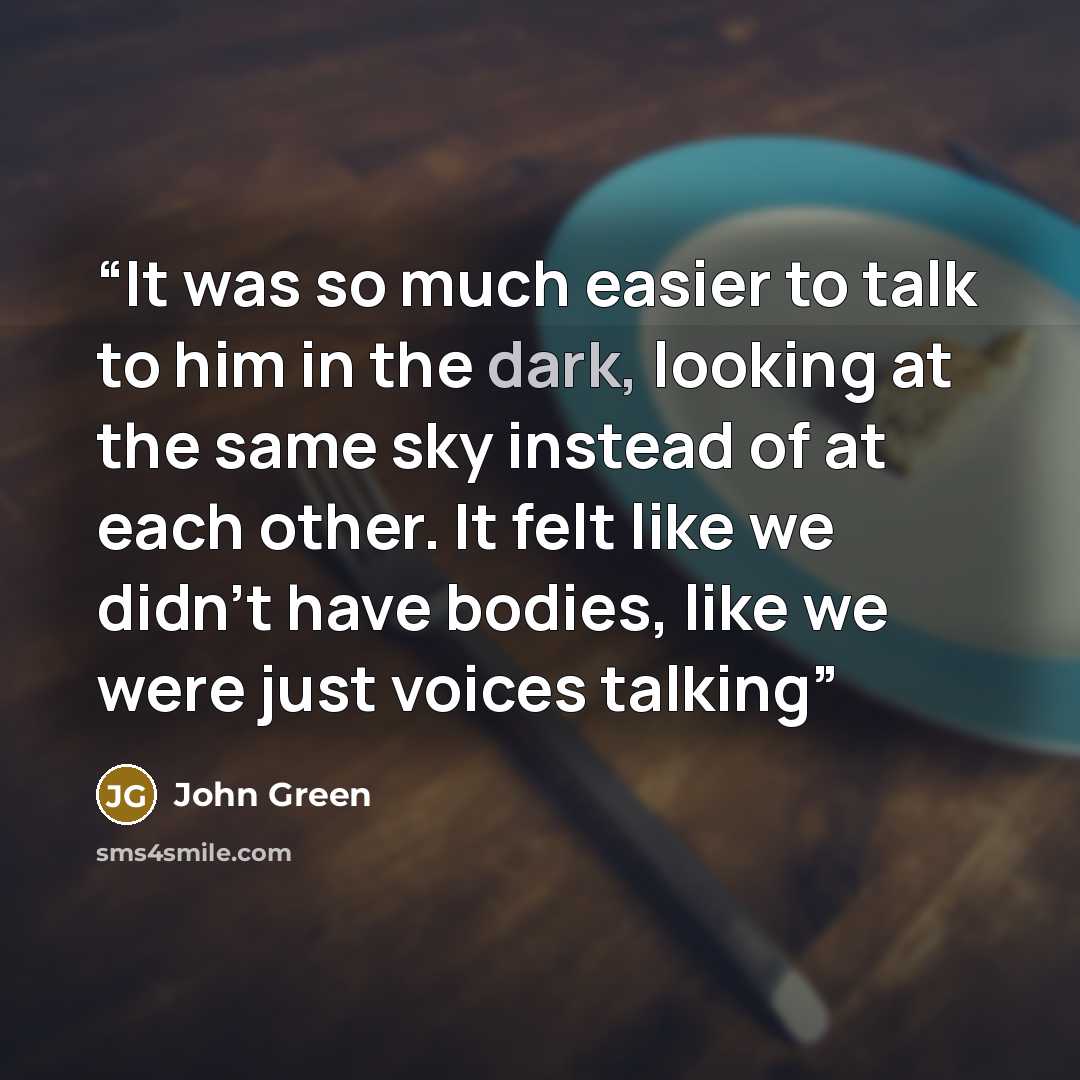 “It was so much easier to talk to him in the dark, looking at the same sky instead of at each other. It felt like we didn't have bodies, like we were just voices talking” quote by John Green