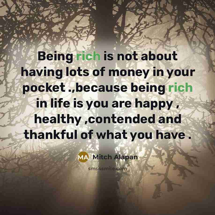 “Being rich is not about having lots of money in…” quote by Mitch Alapan