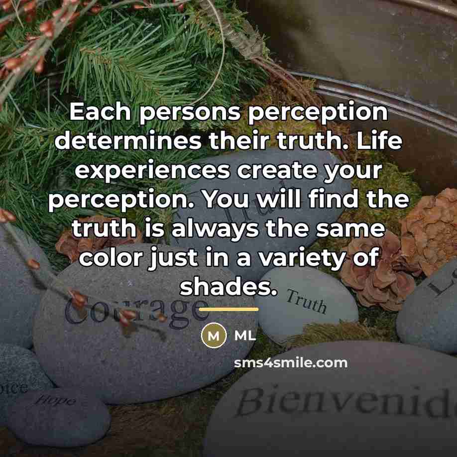 “Each persons perception determines their truth. Life experiences create your…” quote by ML