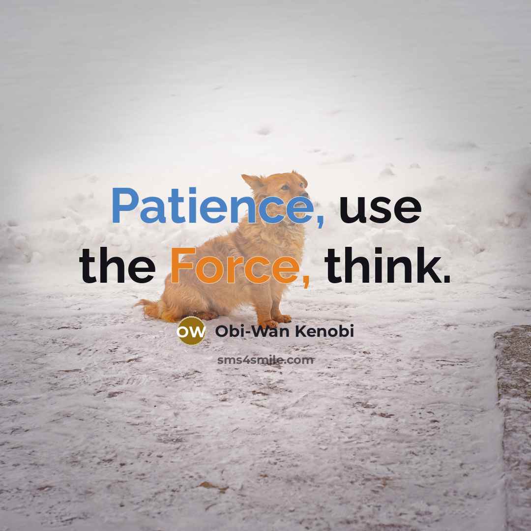 “Patience, use the Force, think.” quote by Obi-Wan Kenobi