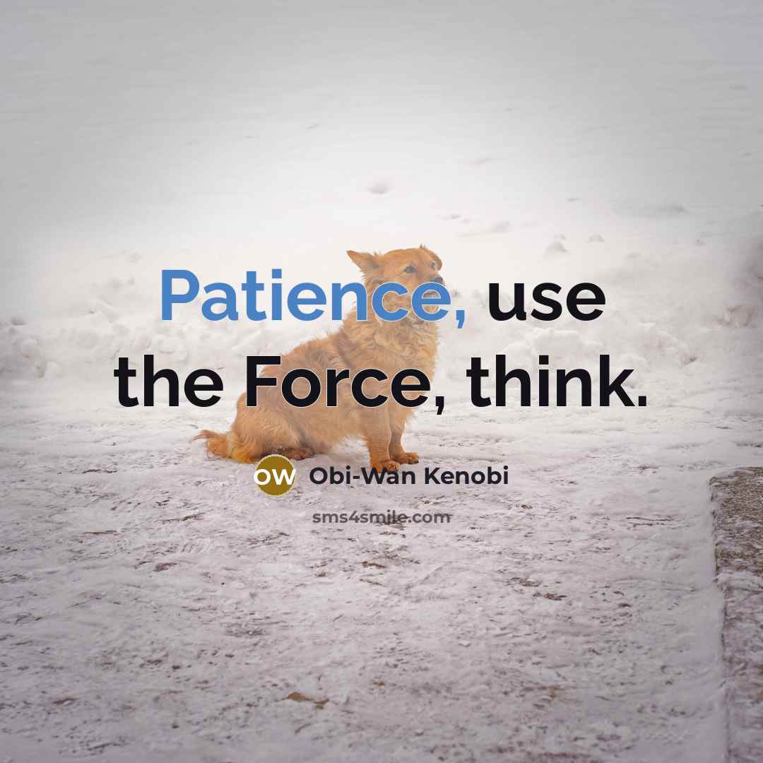 “Patience, use the Force, think.…” quote by Obi-Wan Kenobi