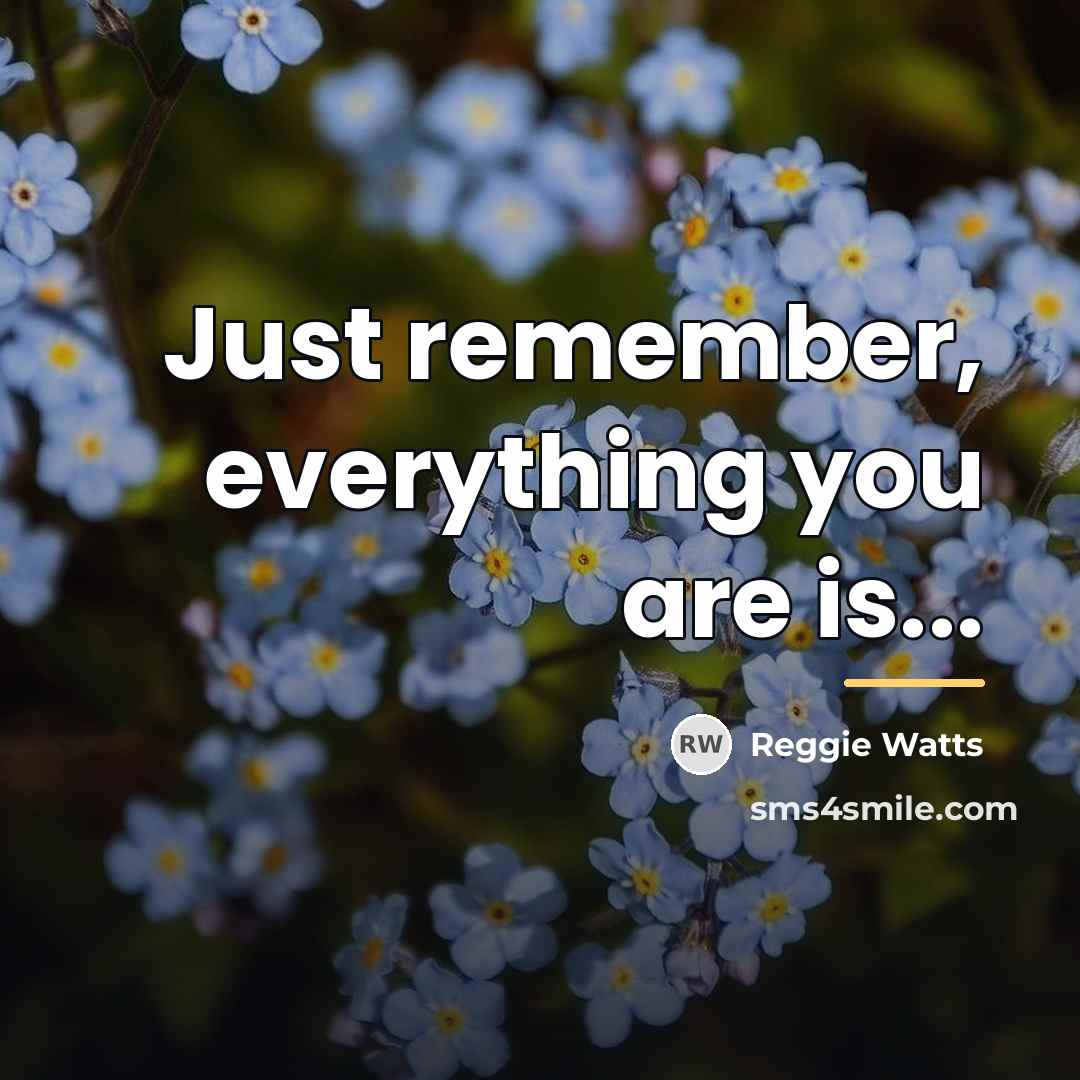 “Just remember, everything you are is...…” quote by Reggie Watts