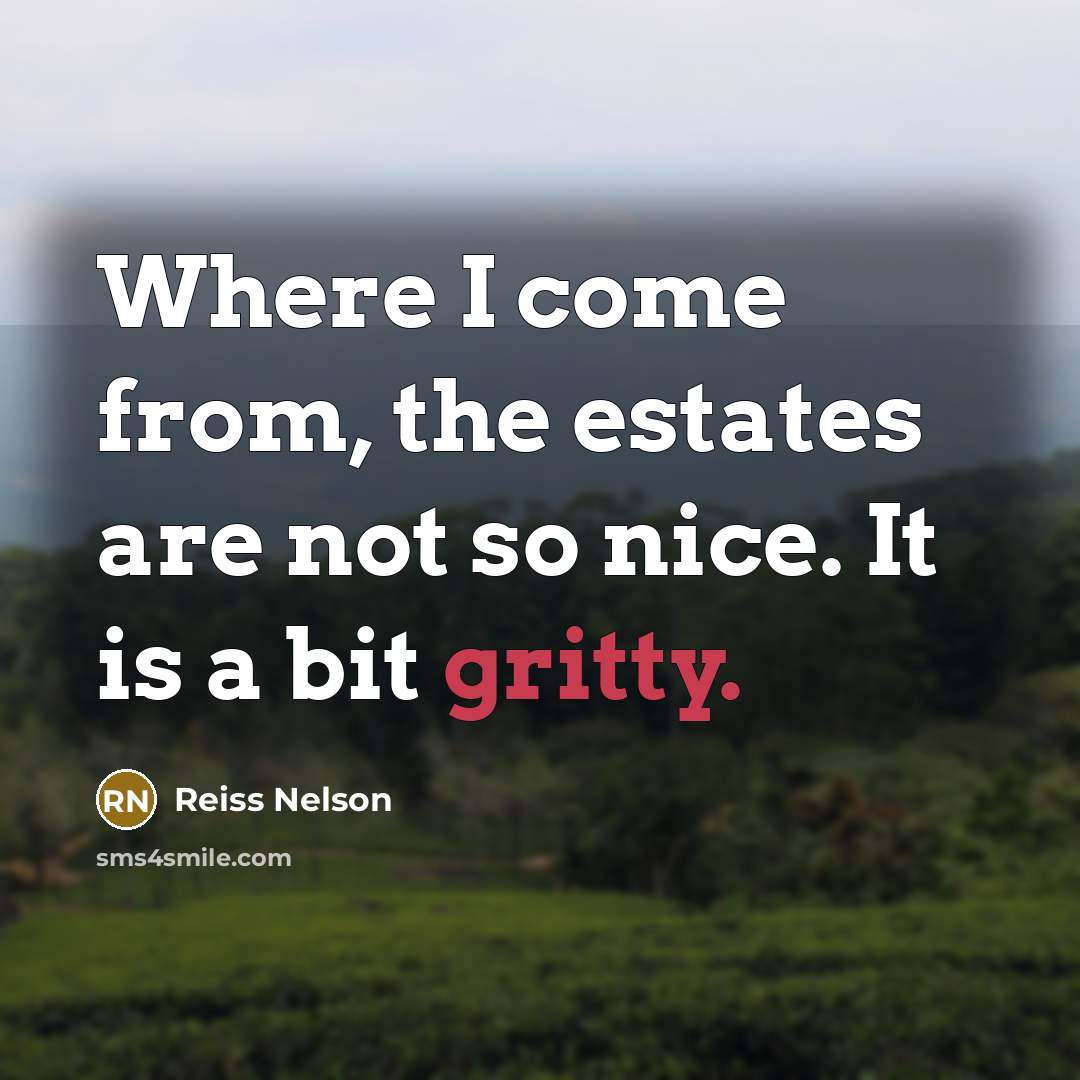 “Where I come from, the estates are not so nice.…” quote by Reiss Nelson