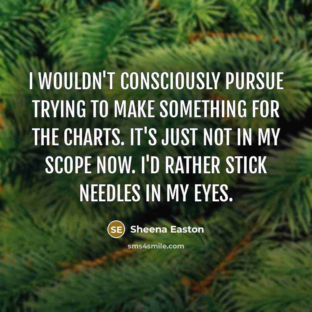 “I wouldn't consciously pursue trying to make something for the charts. It's just not in my scope now. I'd rather stick needles in my eyes.” quote by Sheena Easton