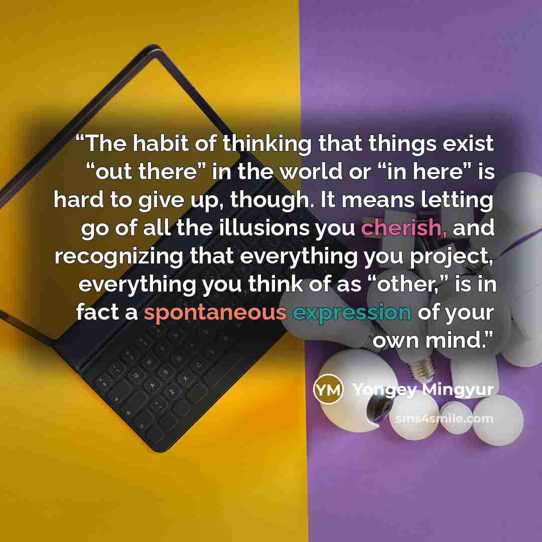 “The habit of thinking that things exist “out there” in the world or “in here” is hard to give up, though. It means letting go of all the illusions you cherish, and recognizing that everything you project, everything you think of as “other,” is in fact a spontaneous expression of your own mind.” quote by Yongey Mingyur