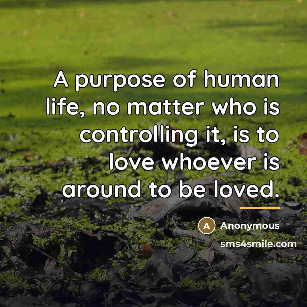 “A purpose of human life, no matter who is controlling…” quote by Anonymous