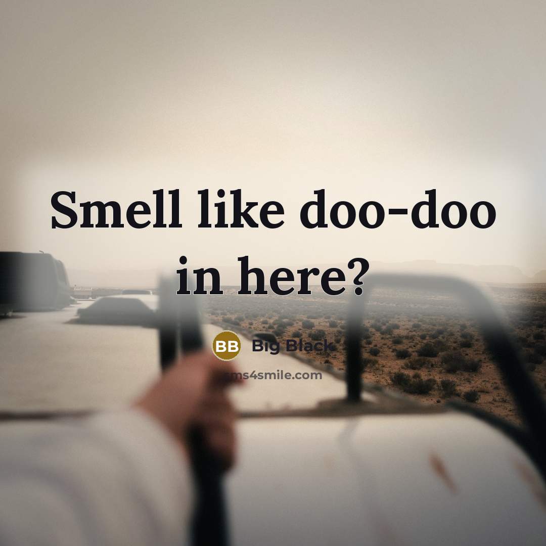 “Smell like doo-doo in here?…” quote by Big Black