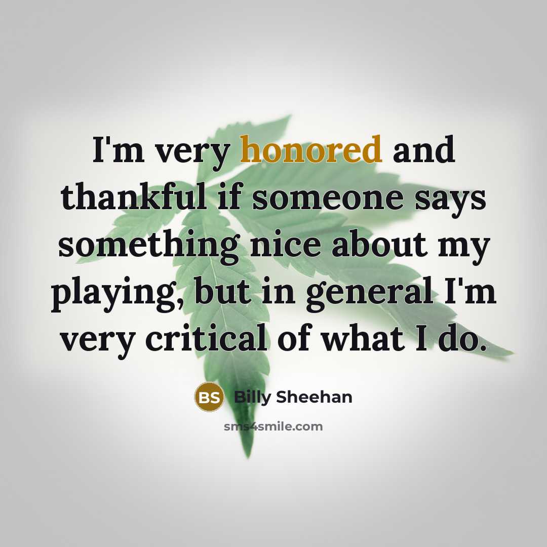 “I'm very honored and thankful if someone says something nice…” quote by Billy Sheehan