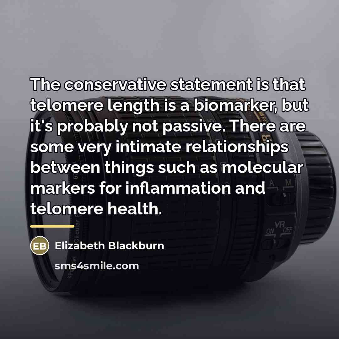 “The conservative statement is that telomere length is a biomarker,…” quote by Elizabeth Blackburn