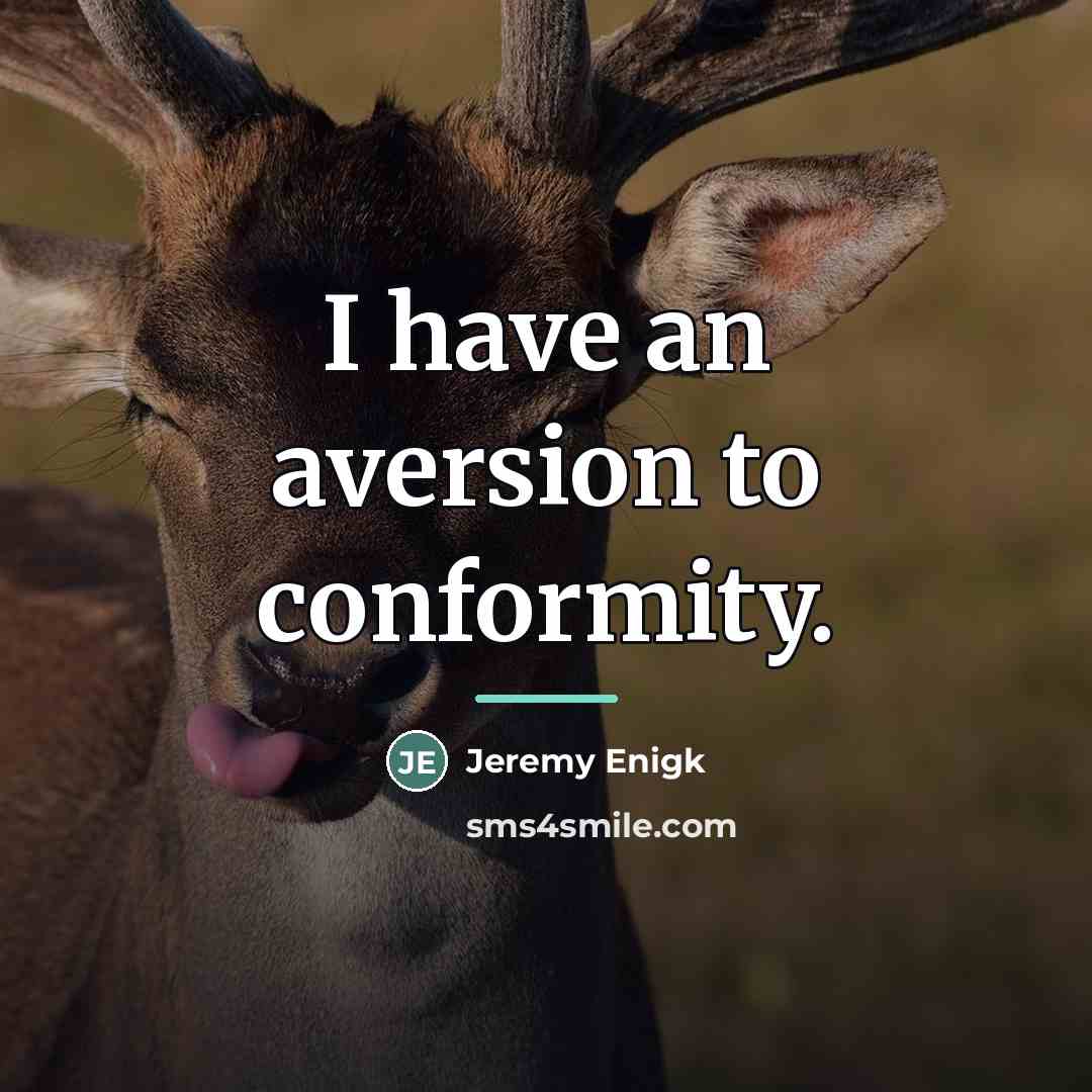 “I have an aversion to conformity.…” quote by Jeremy Enigk