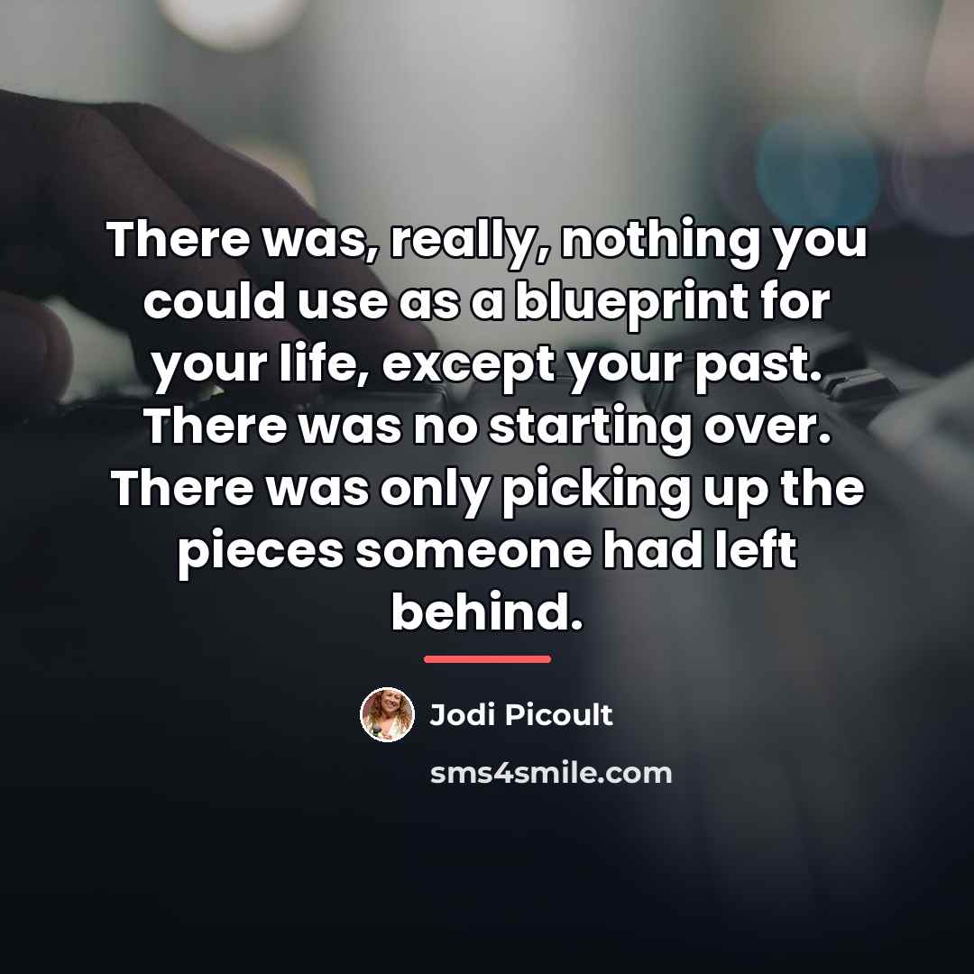 “There was, really, nothing you could use as a blueprint…” quote by Jodi Picoult