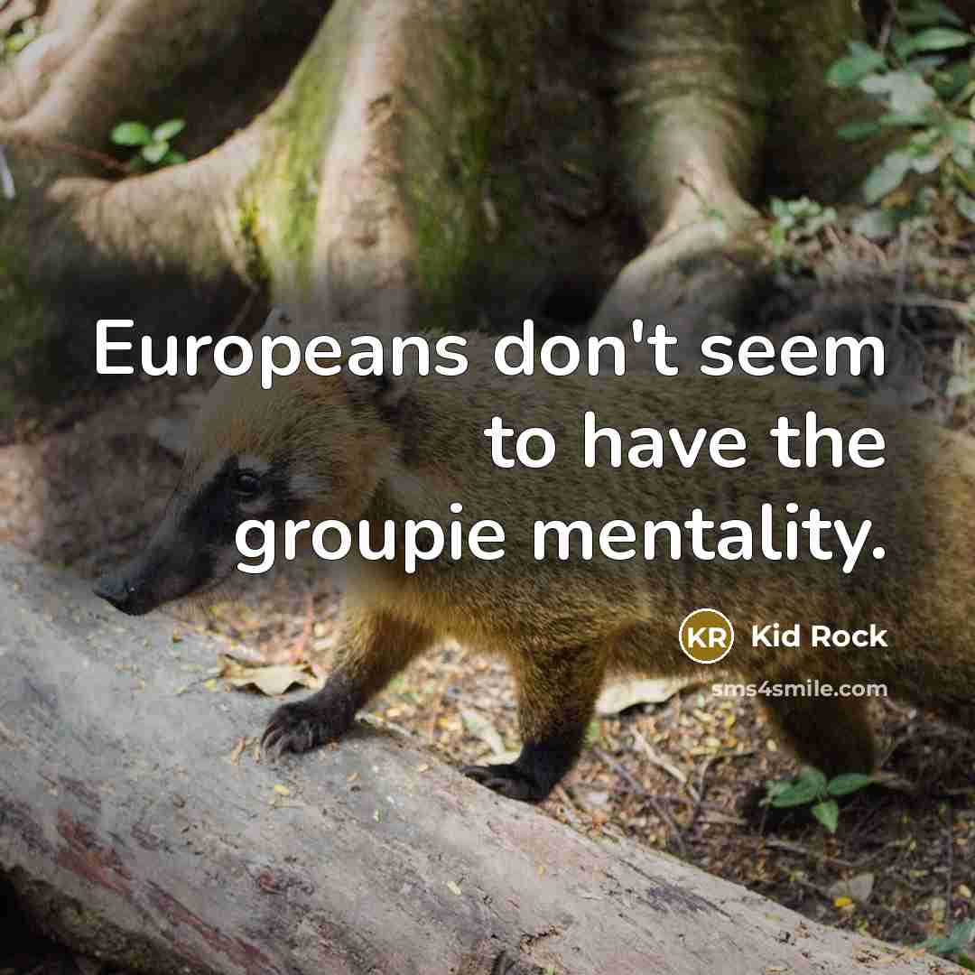 “Europeans don't seem to have the groupie mentality.…” quote by Kid Rock