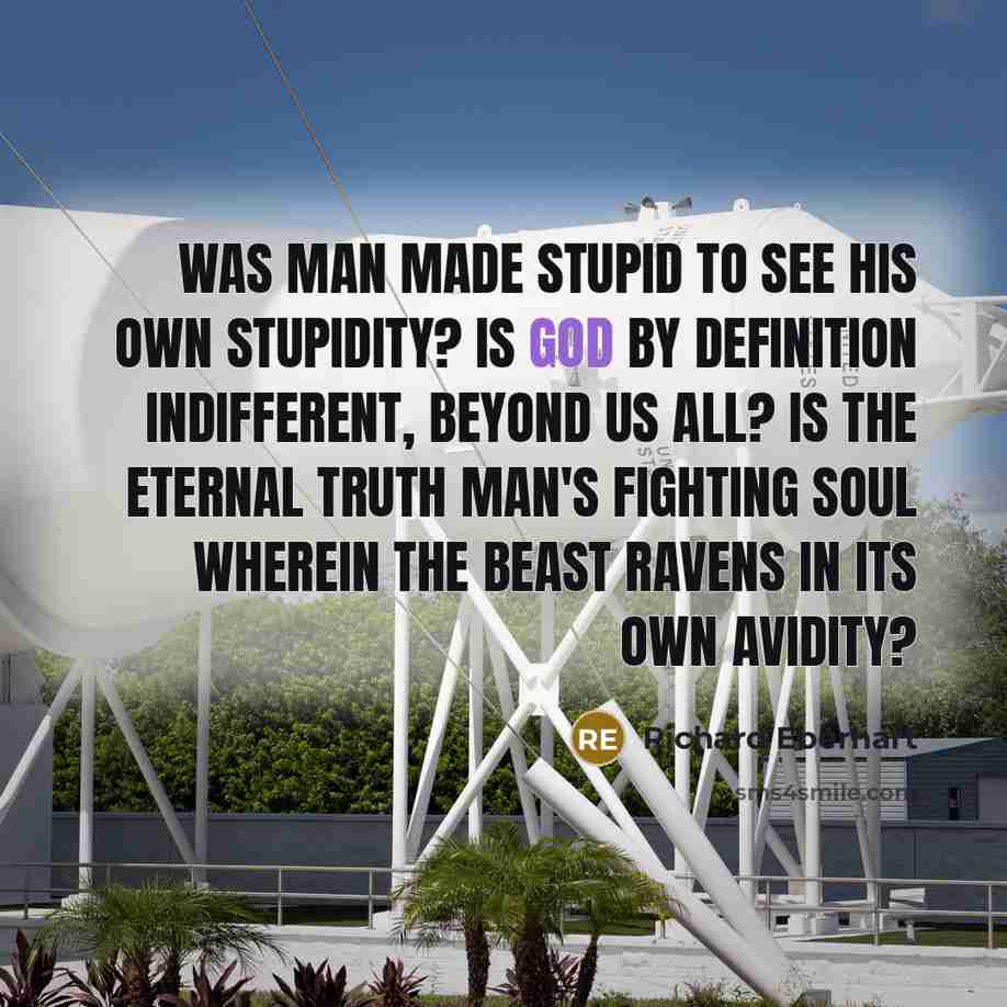 “Was man made stupid to see his own stupidity? Is…” quote by Richard Eberhart