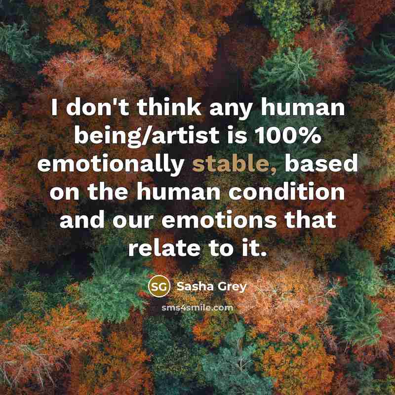 “I don't think any human being/artist is 100% emotionally stable,…” quote by Sasha Grey