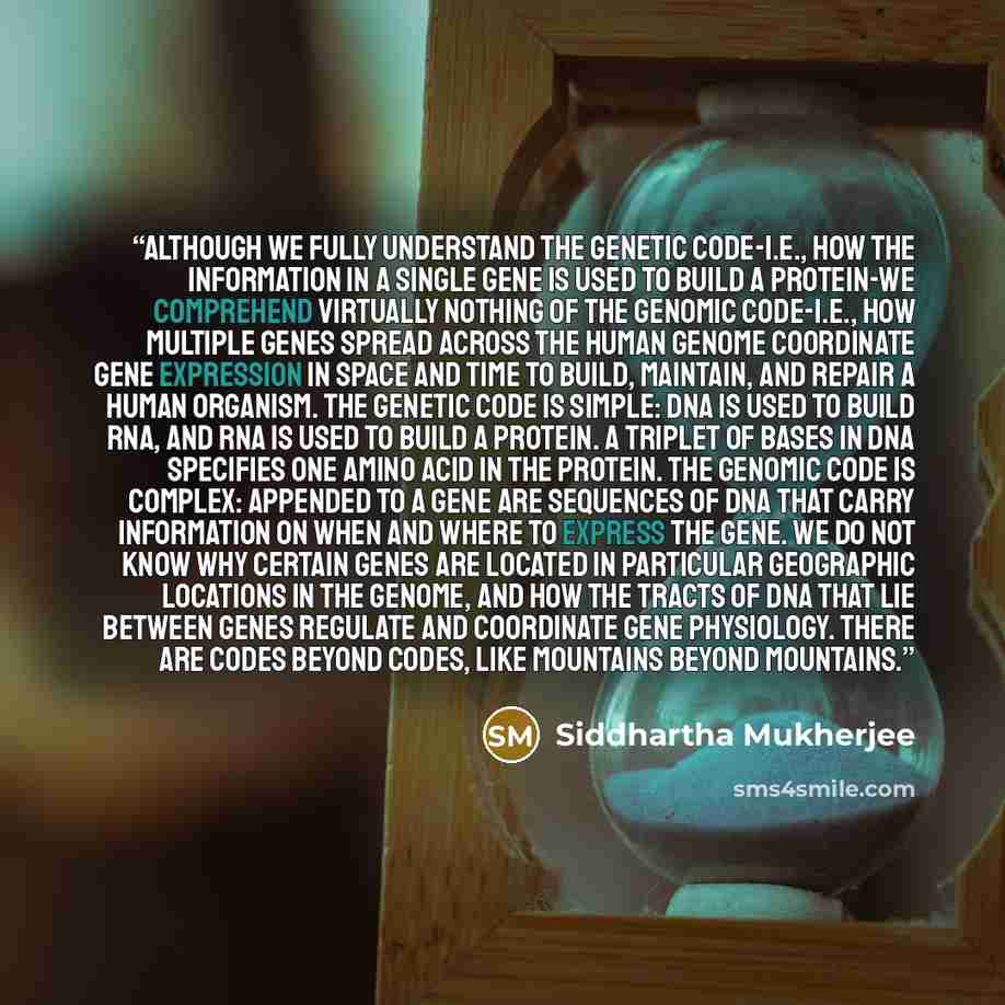 “Although we fully understand the genetic code-i.e., how the information in a single gene is used to build a protein-we comprehend virtually nothing of the genomic code-i.e., how multiple genes spread across the human genome coordinate gene expression in space and time to build, maintain, and…” quote by Siddhartha Mukherjee