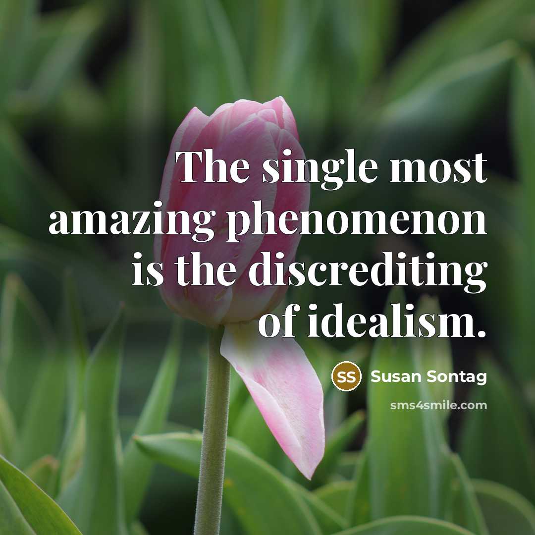 “The single most amazing phenomenon is the discrediting of idealism.…” quote by Susan Sontag