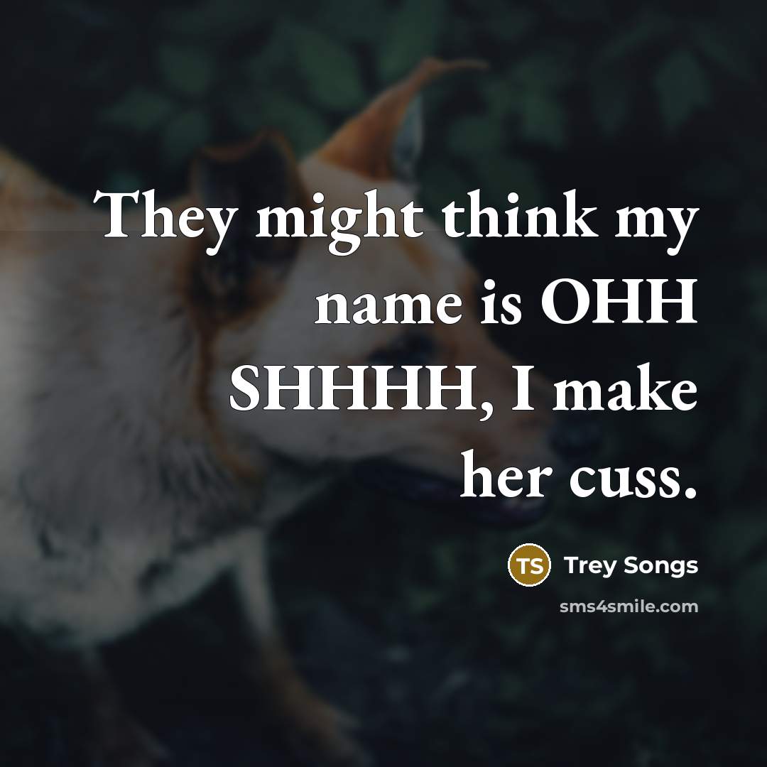 “They might think my name is OHH SHHHH, I make her cuss.” quote by Trey Songs
